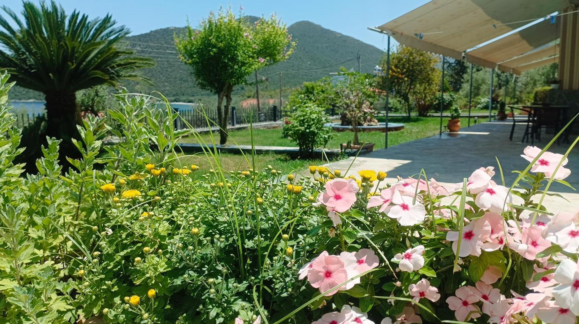 Studios Zaritsi Tiros Exterior photo